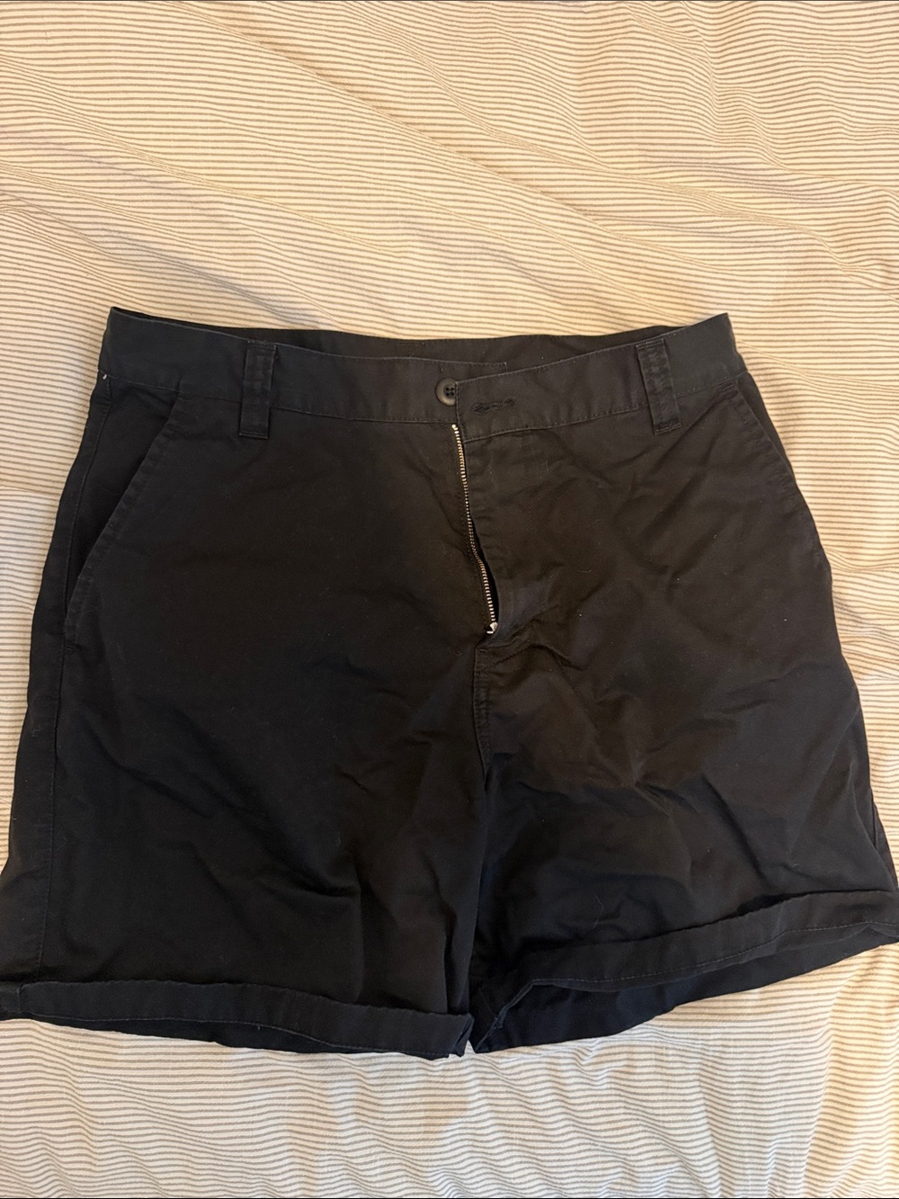 Carhartt Men’s Black Brandon Shorts with Zip Fly